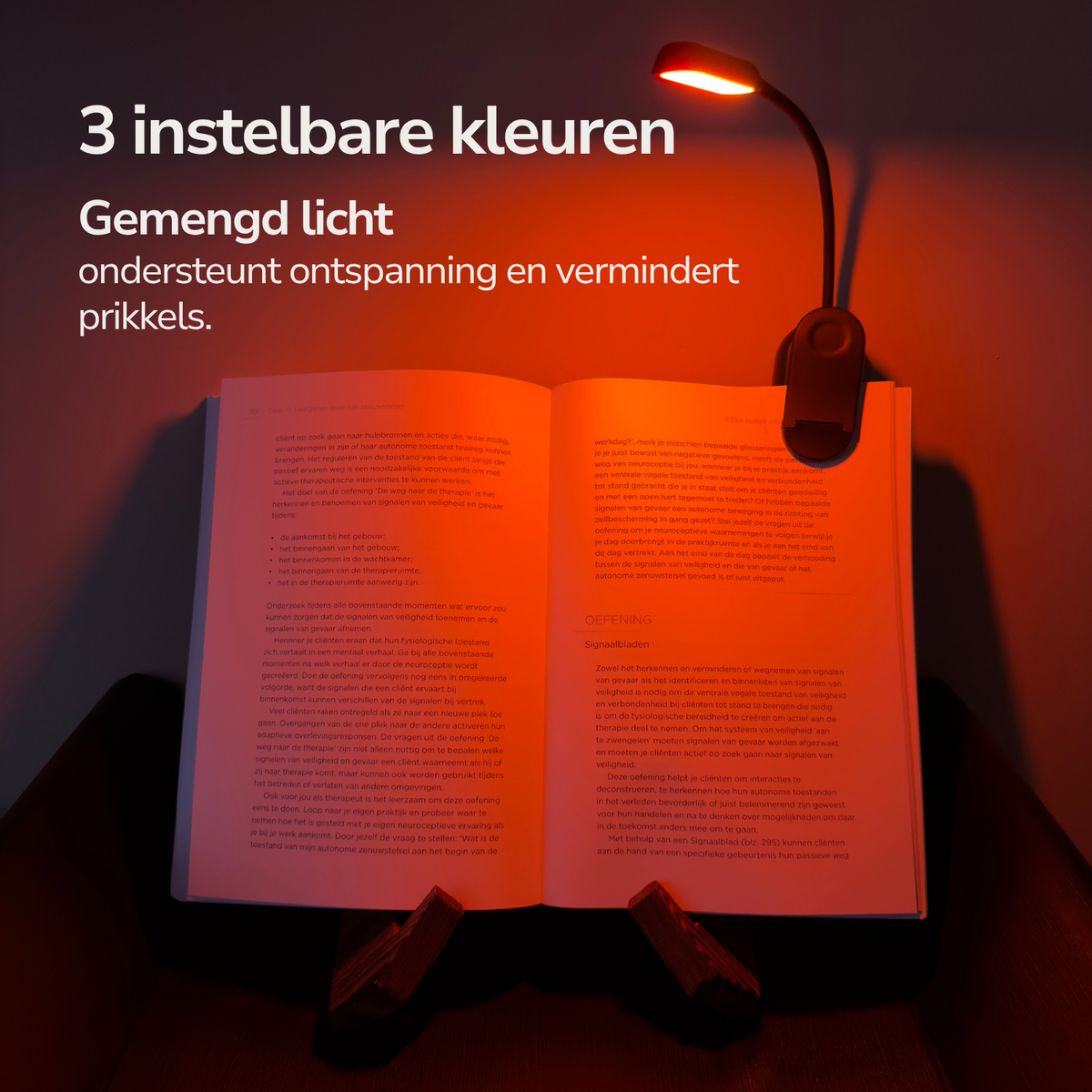 Rood Licht Leeslamp