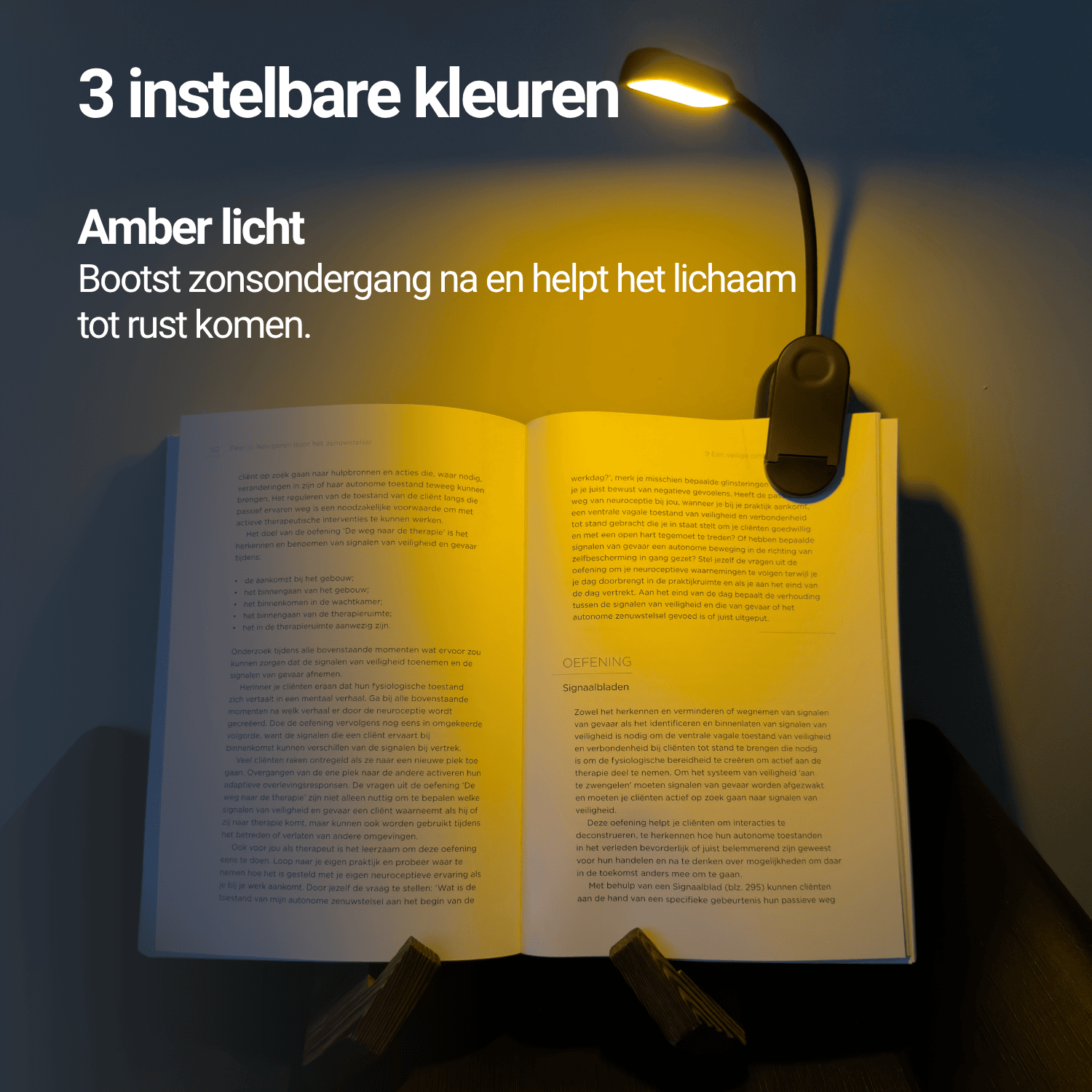 Rood Licht Leeslamp