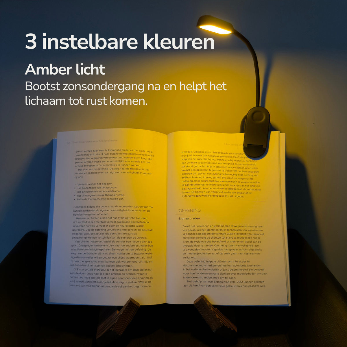 Rood Licht Leeslamp